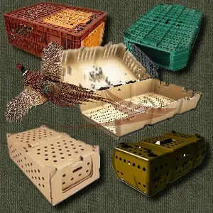 Caisses de Transport