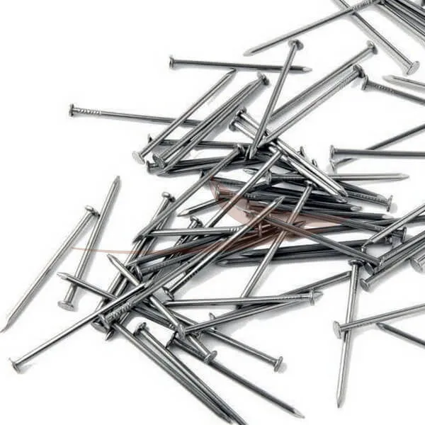 Pointe acier tête plate en 5kg thumbnail