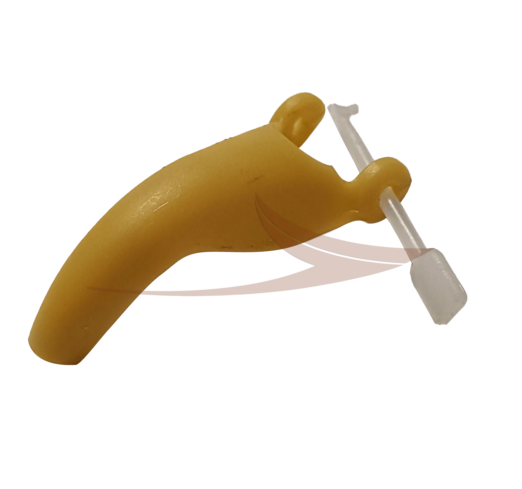 Becs faisan Petit modèle avec harpon