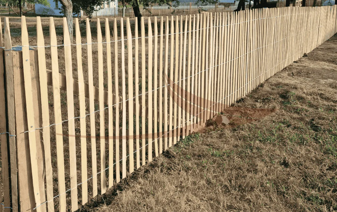 Ganivelle Acacia thumbnail