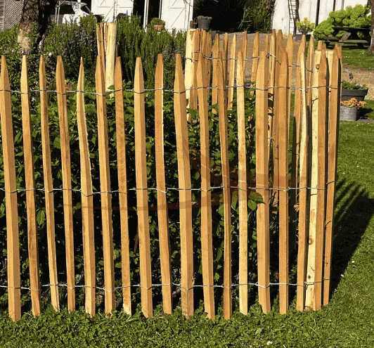 Ganivelle Acacia thumbnail