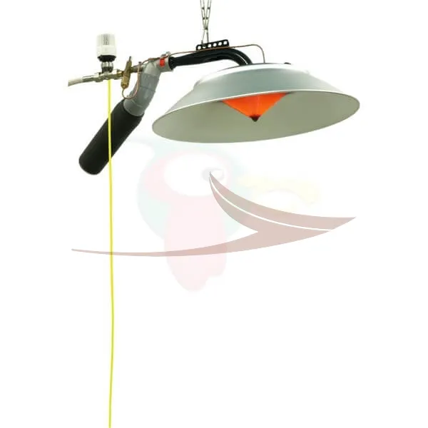 RADIANT Infraconic-matic Gibier 5000W 300mbar + thermostat