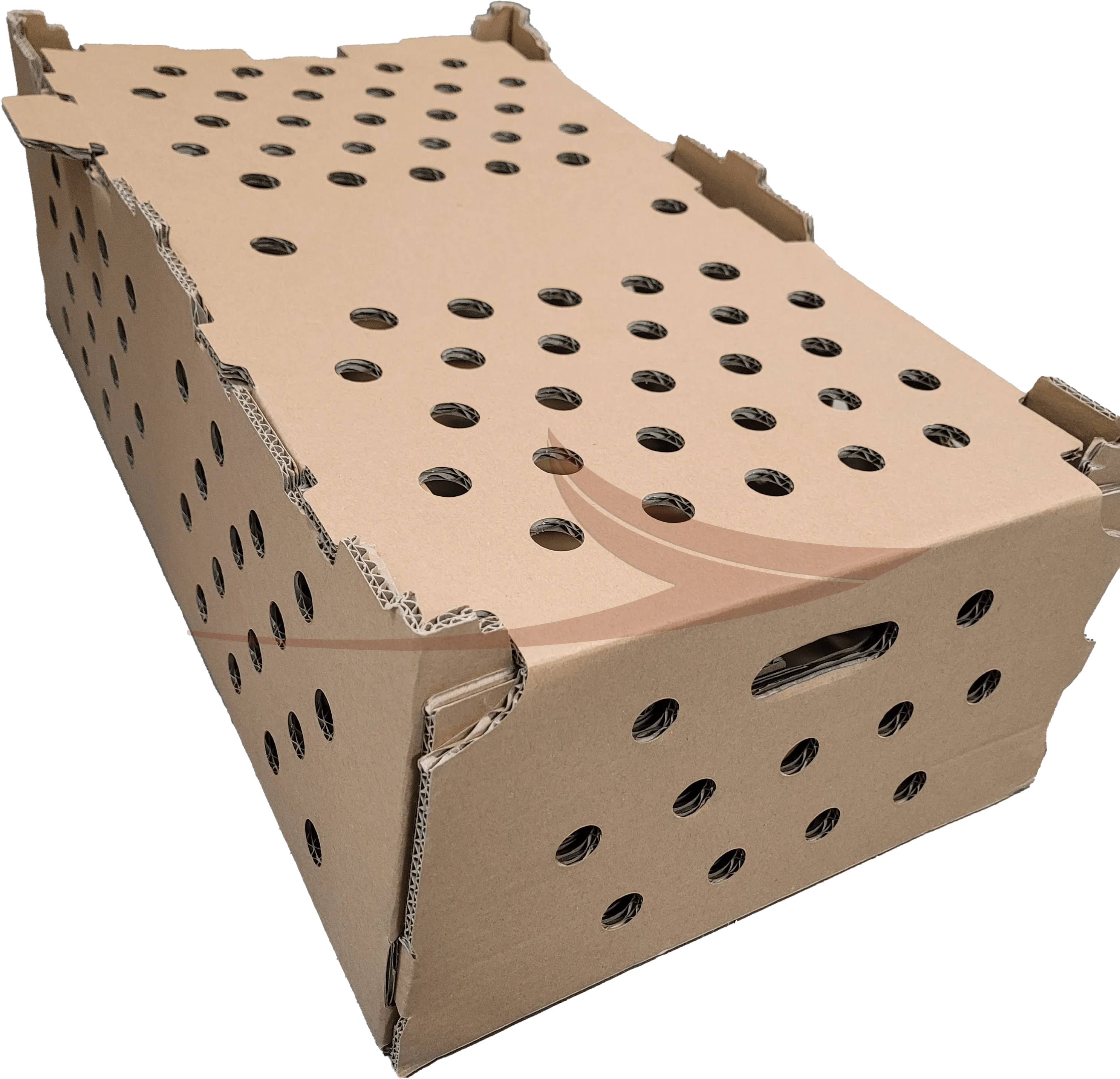 Caisse carton faisan