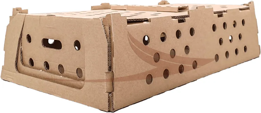 Caisse Carton perdrix